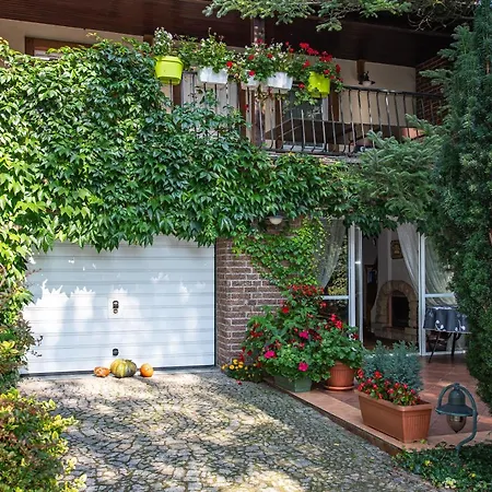 Caloroczny Steszewko