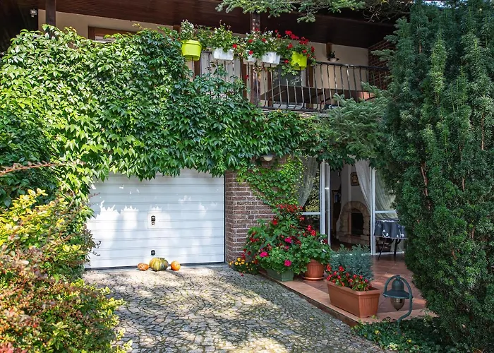 Caloroczny Steszewko