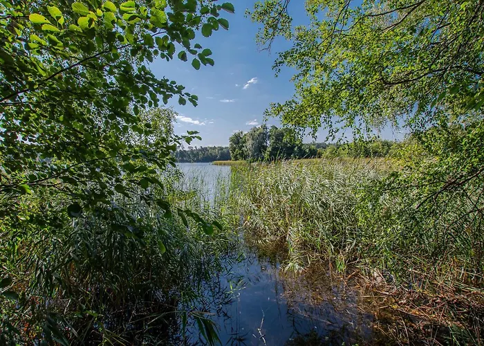 Caloroczny * Steszewko