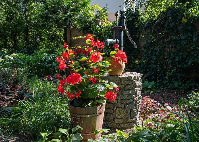 Caloroczny Steszewko