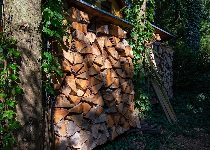 Caloroczny بيت للعطل *