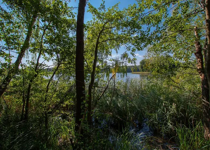 Caloroczny Steszewko